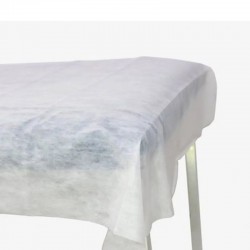 Lencol Desc S/Elast 30G 2,0 X 0,9M Pc/10 - ANADONA